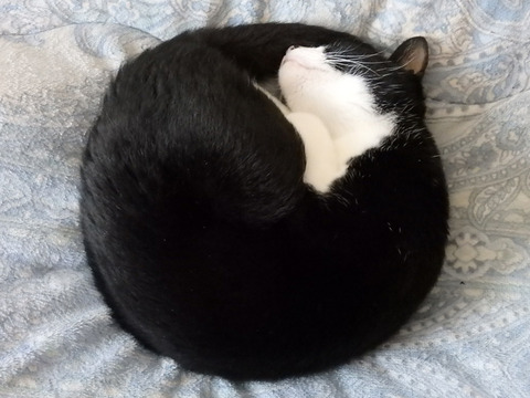 0まんまるとひろ-1