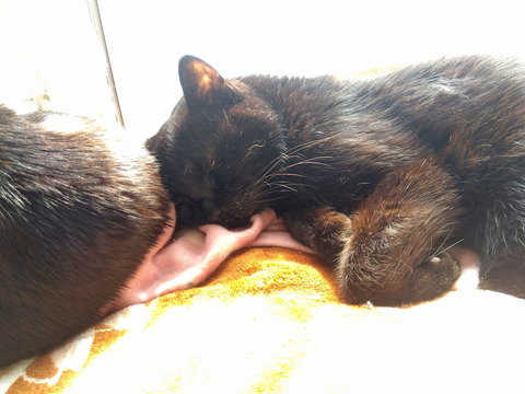 IMG_2026-02-27-12-59-02-812c