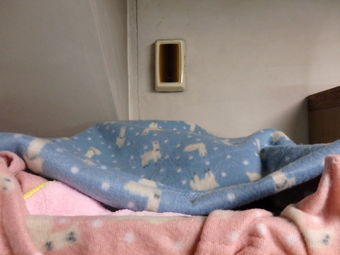 PB022074h
