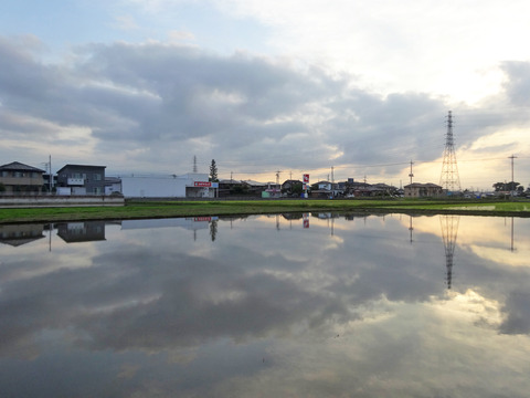 DSC01045k