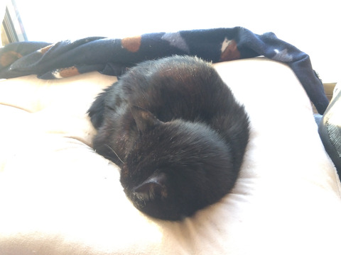 IMG_2025-12-30-07-44-26-086c