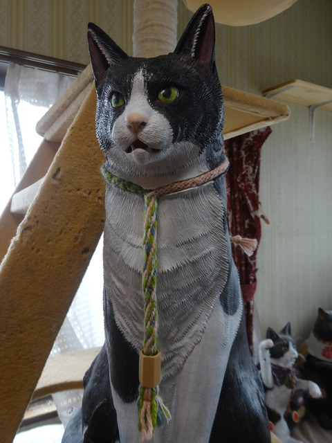 DSC09799k