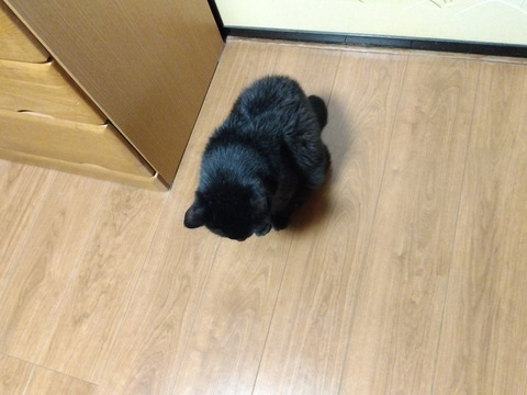 IMG_2025-07-31-05-39-10-813c