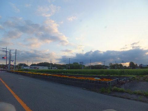 DSCF9946a