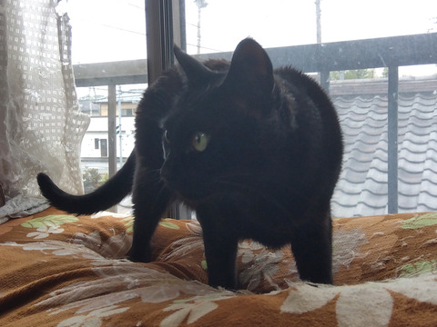 IMG_2026-04-10-16-12-55-322c