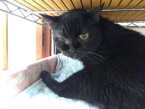 IMG_2025-07-30-06-19-59-966c