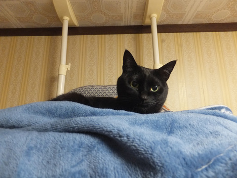 DSCF9855a