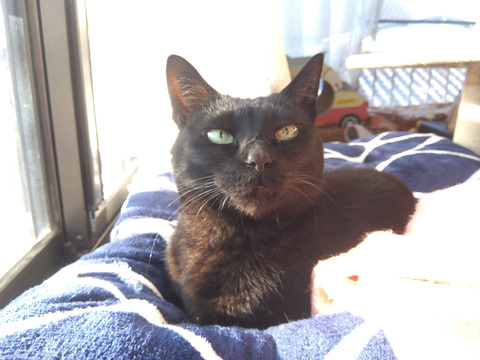 IMG_2026-04-08-06-50-59-359c