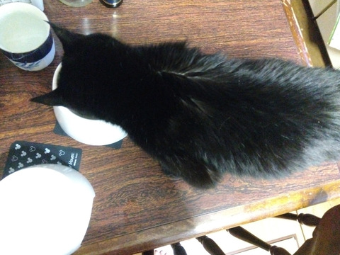 IMG_2026-04-16-05-31-02-712c