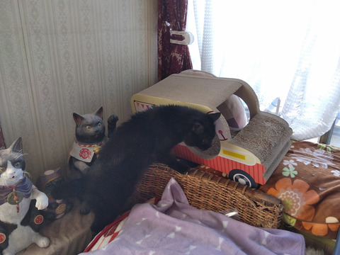 IMG_2026-04-13-07-30-37-333c