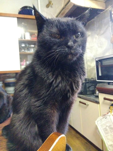 IMG_2026-04-10-07-41-17-109c