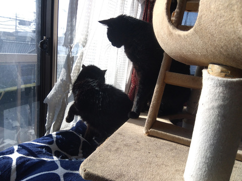 IMG_2026-04-13-07-30-05-820c