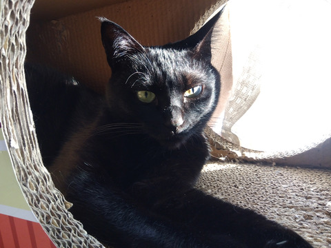 IMG_2024-02-28-15-25-20-907a