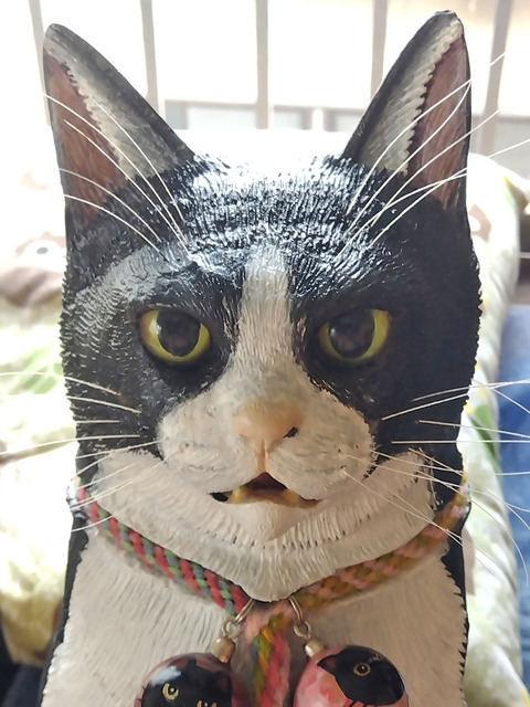 IMG_2025-07-23-16-21-53-791c2