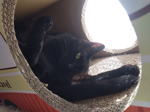 IMG_2024-02-27-11-31-41-959a