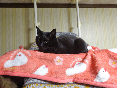 DSC09816k