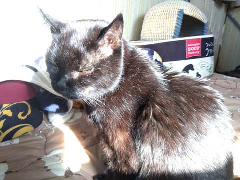 IMG_2026-04-11-07-23-37-337c