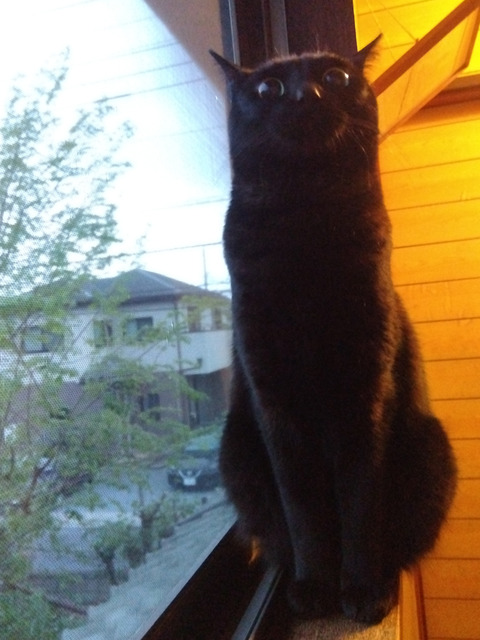 IMG_2026-04-15-05-19-27-951c