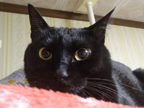 DSC09808k