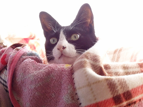 0 紹介用4