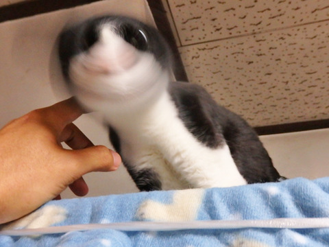 0 とひろドリル2