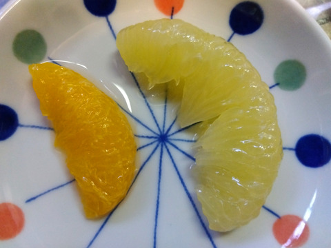 IMG_2024-02-27-11-00-00-055a