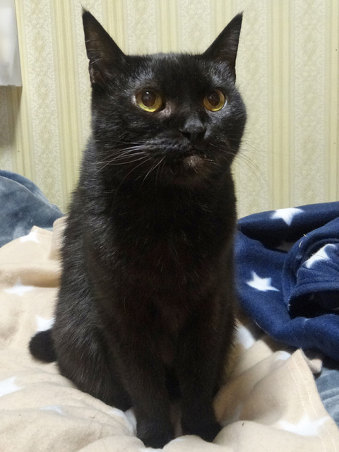 DSC03048j