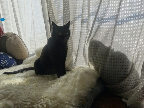 DSC05957k