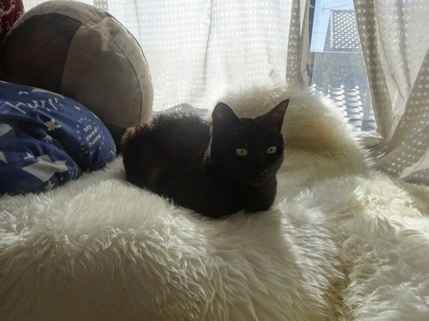 DSC05953k
