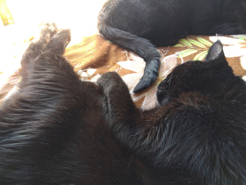 IMG_2026-04-08-13-05-14-921c