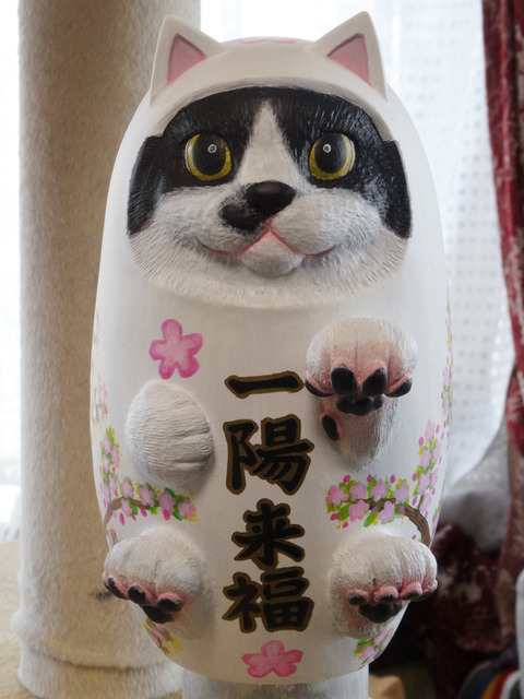 DSC06132i