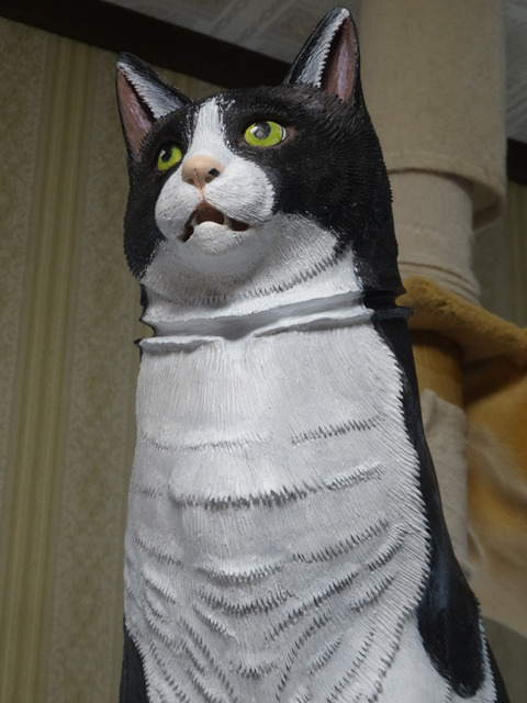 DSC09820k