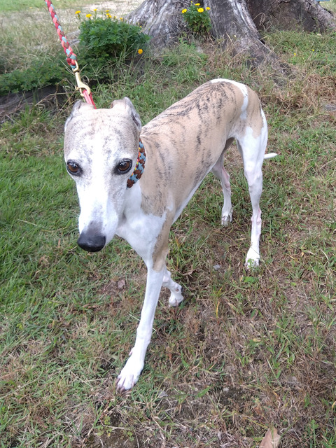 IMG_2025-10-06-09-59-30-782c