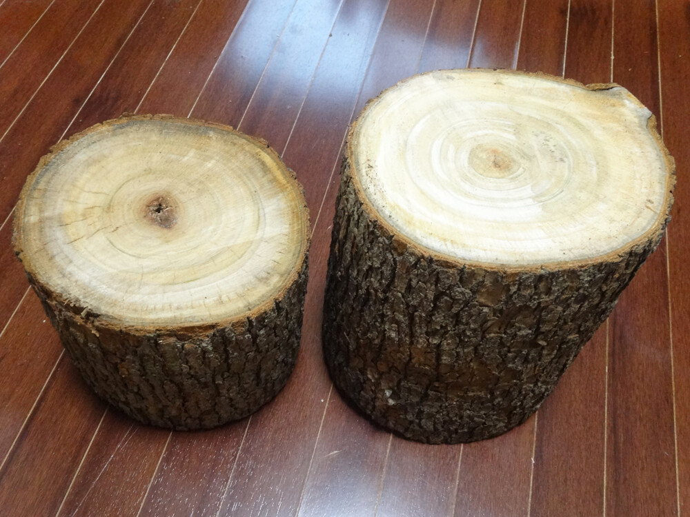 クスノキ　丸太　彫刻用 クスノキ 丸太 彫刻用