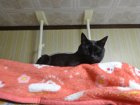 DSC09762k