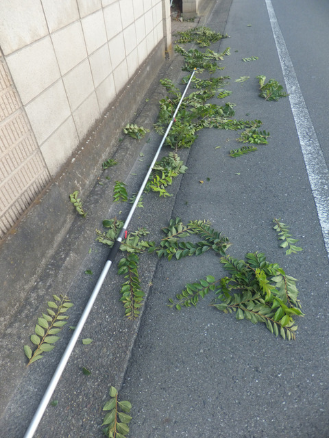 DSCF0144l