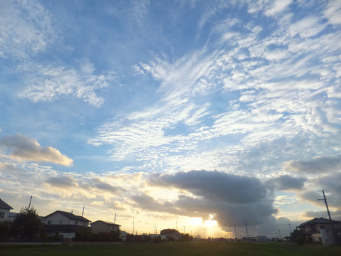DSCF0164a