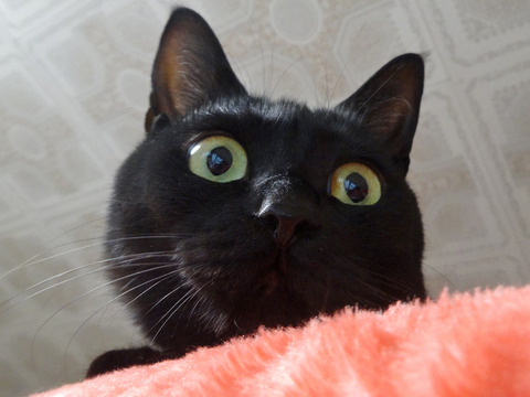 DSC09768k