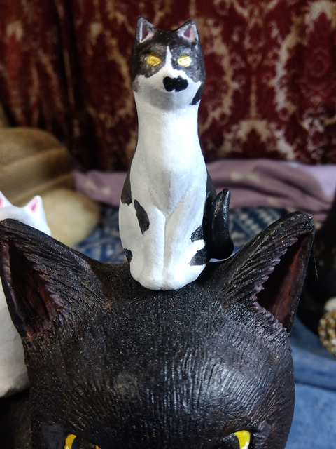 IMG_2024-02-28-20-08-05-762a