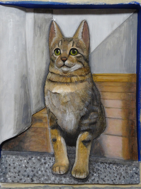 DSC09635i