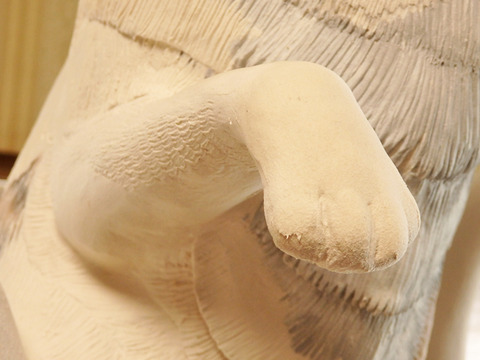 P8082158h