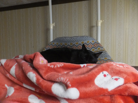 DSCF1461a