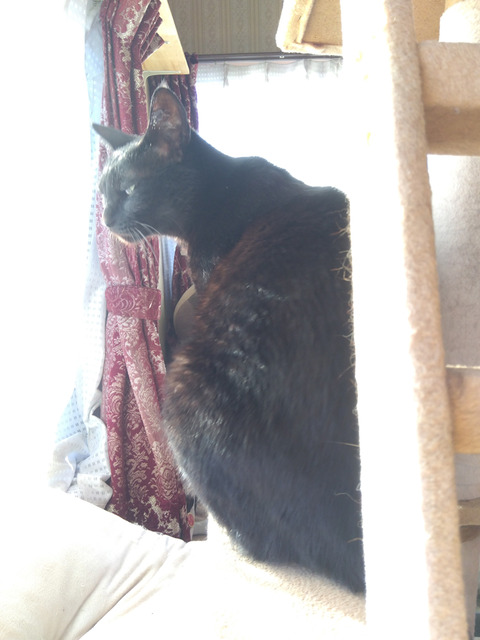 IMG_2025-12-31-08-15-47-030c