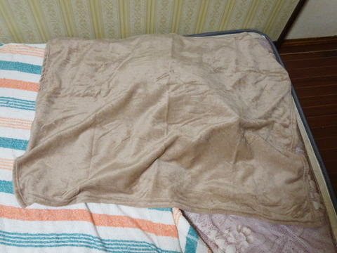 DSC00867j