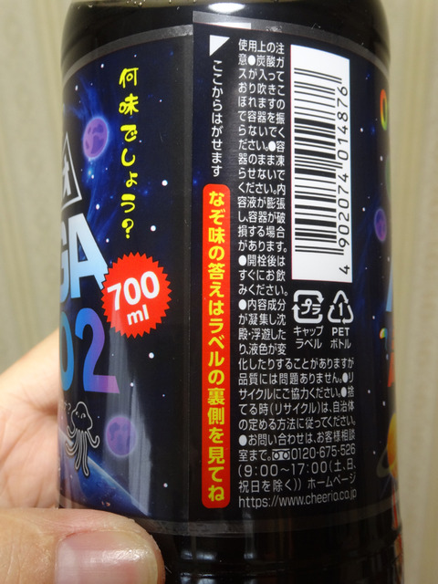 DSC05514j