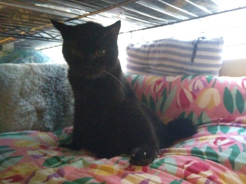 IMG_2025-07-31-05-41-05-307c