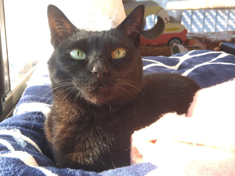 IMG_2026-04-08-06-51-02-039c