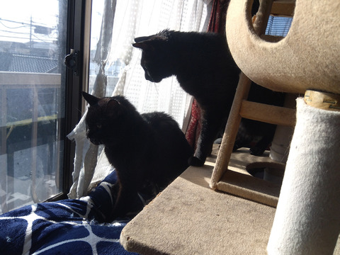 IMG_2026-04-13-07-30-03-400c