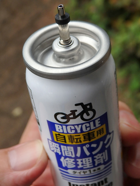 P9085600h