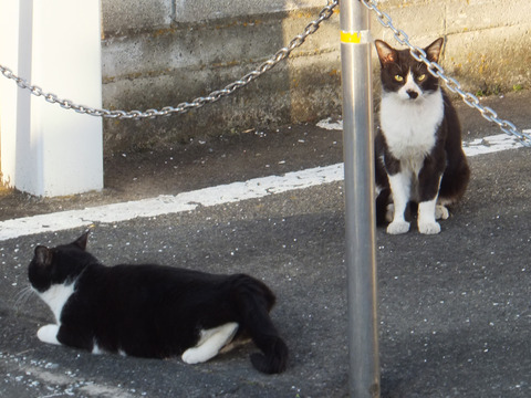 DSCF0454a